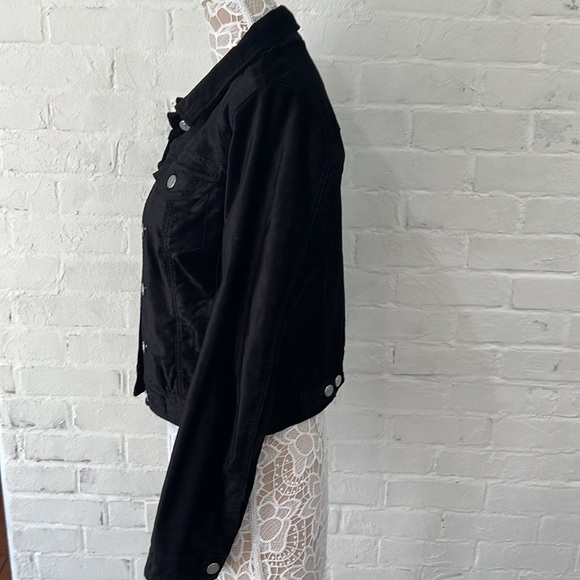 Pilcro and the Letterpress Velour Jacket - Picture 5 of 7